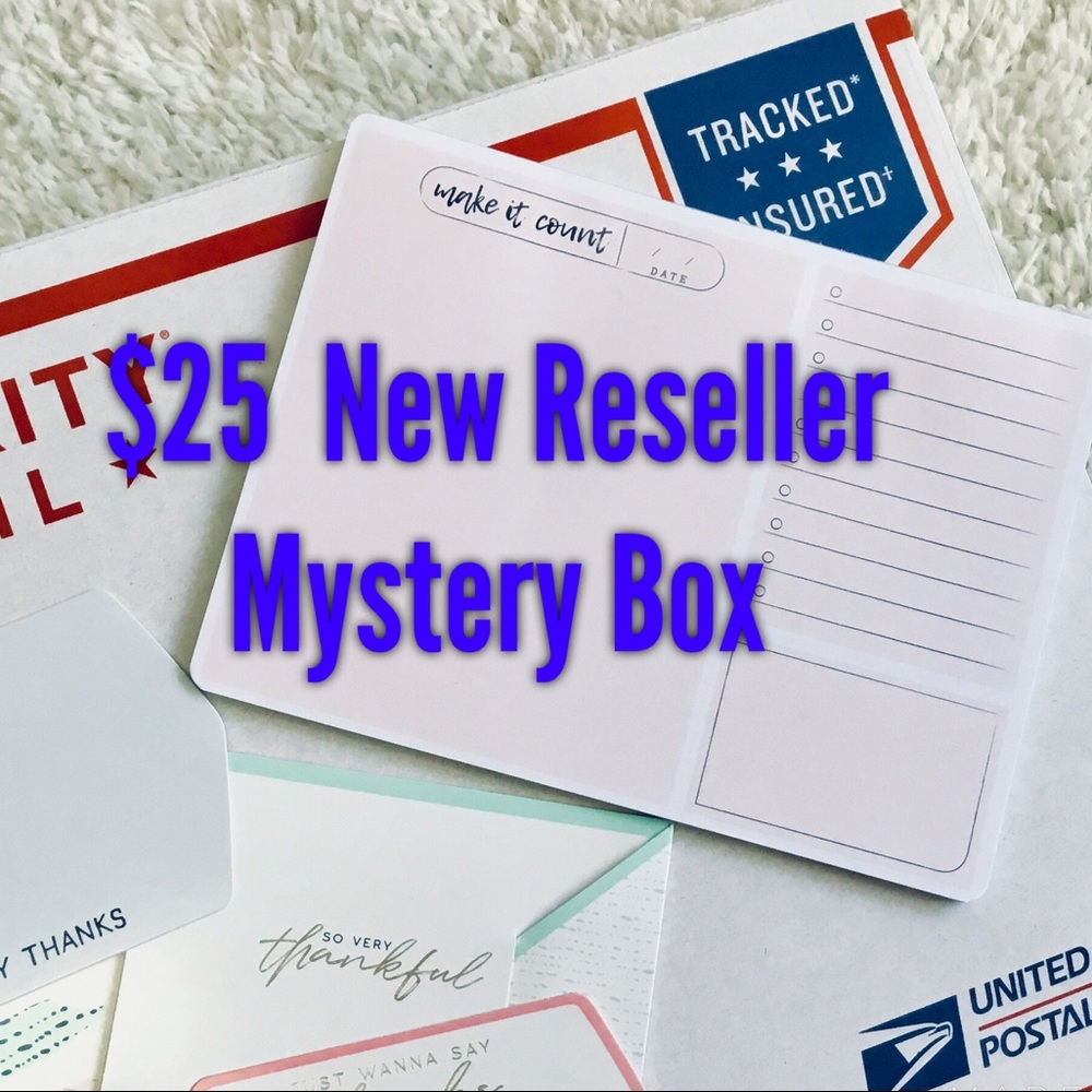 $25 New Reseller Mystery Box📦!!